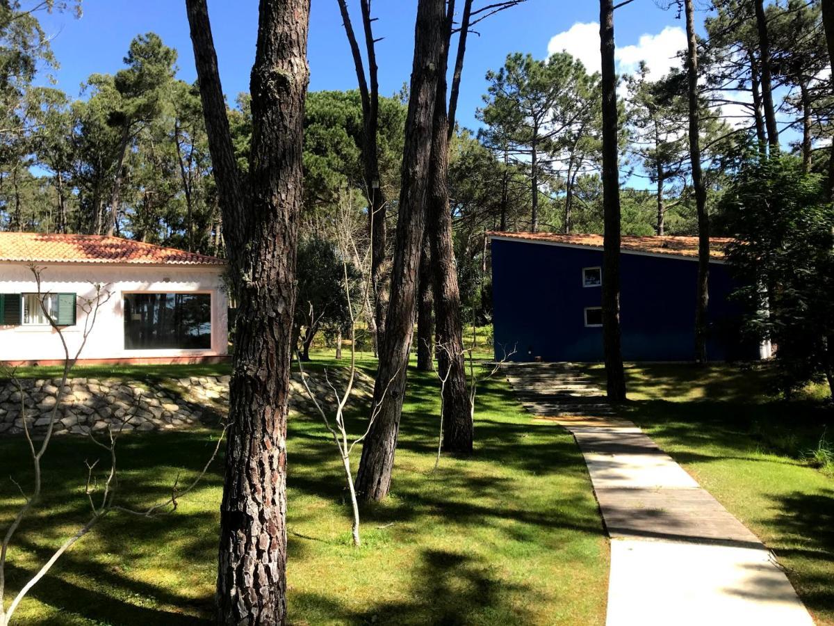 Villa Colares Sintra Buitenkant foto