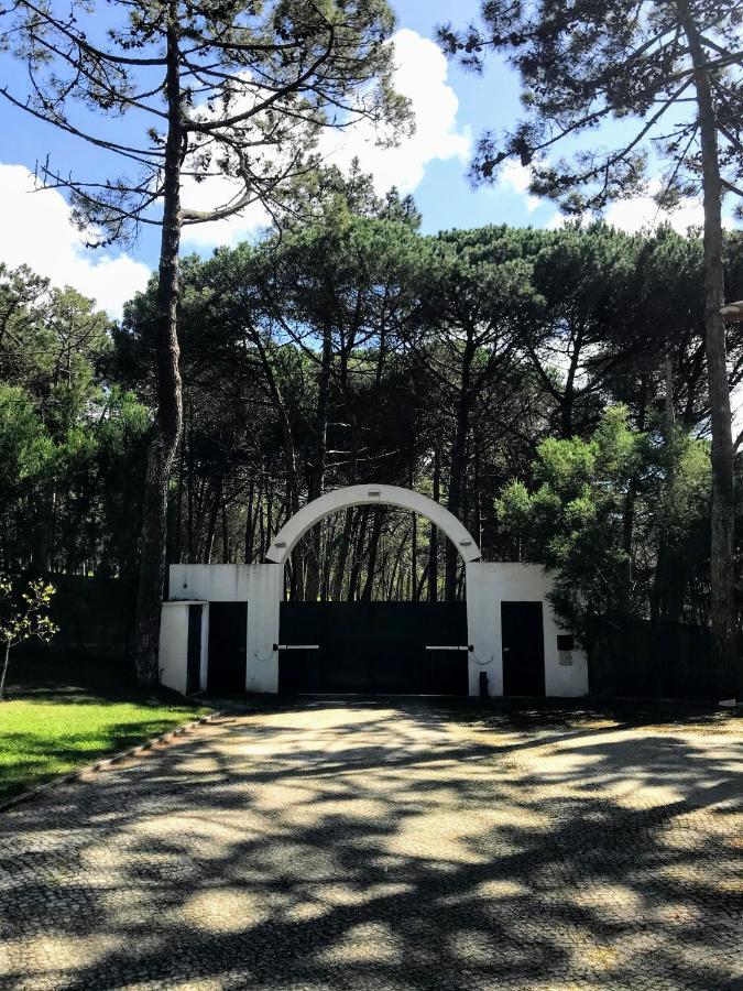 Villa Colares Sintra Buitenkant foto