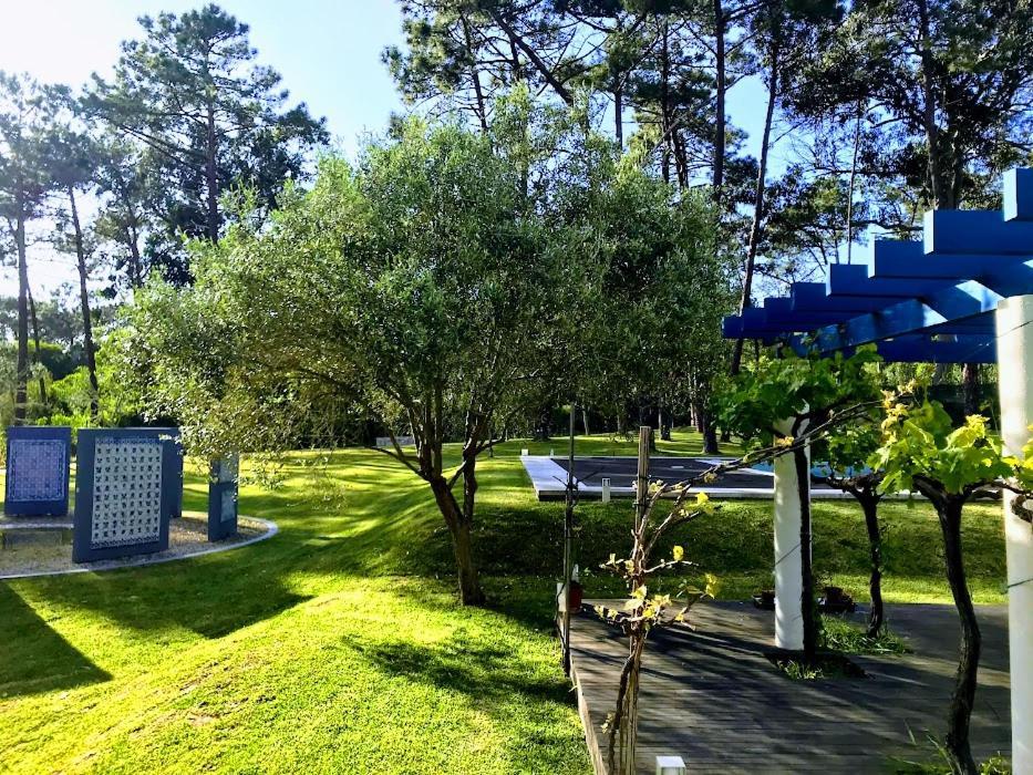 Villa Colares Sintra Buitenkant foto